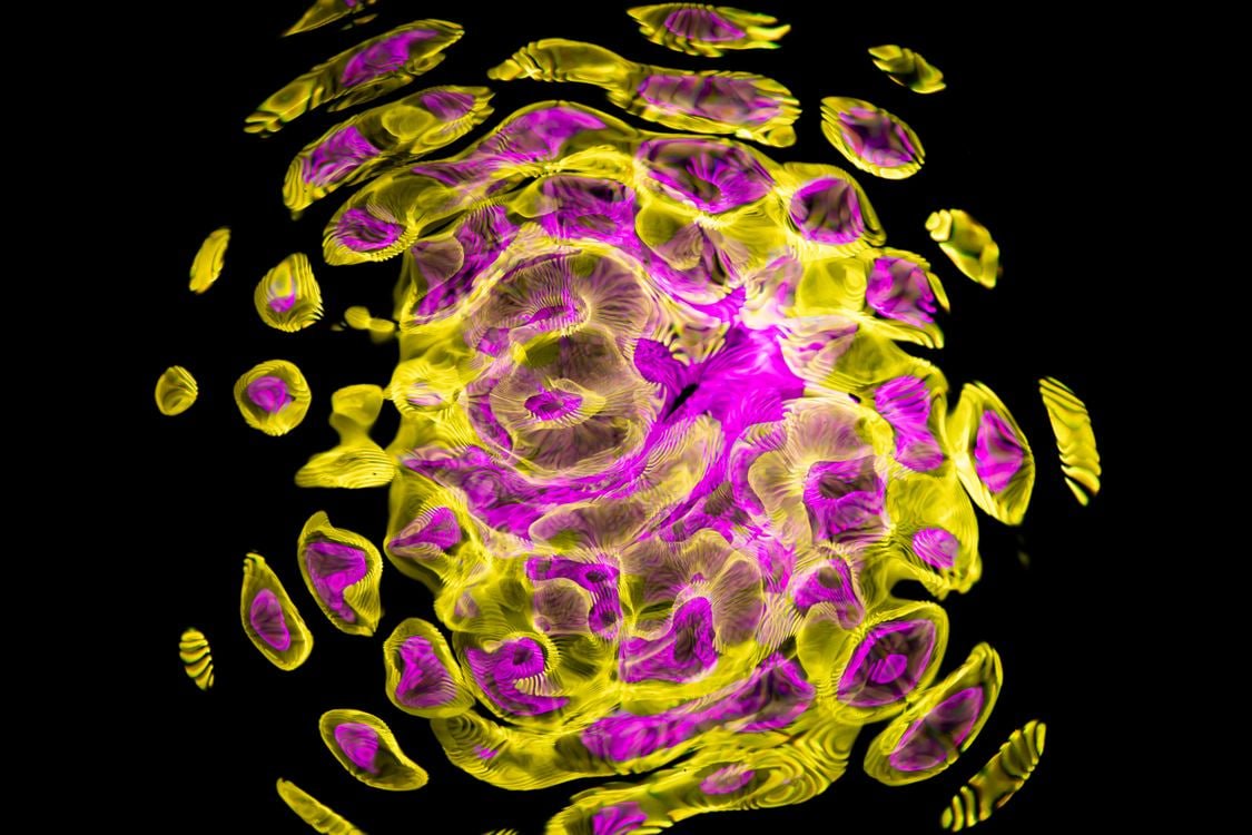 Mitochondrial Health and Cellular Energy: The Foundation of Vitality